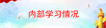 內(nèi)部學(xué)習(xí)情況